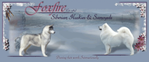 Foxfire Siberian Huskies