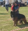 Senen Kennels in Vosburg, Northern Cape