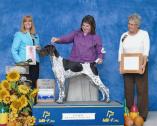 Mi-Karma German Shorthaired Pointer Kennels in Stephens City, Virginia