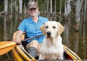 Wildrose Kennels Labradors