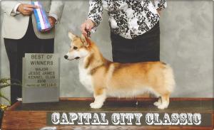 Wind Dial Corgis